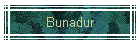 Bunadur