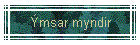 msar myndir