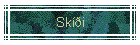 Ski