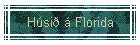 Hsi  Florida