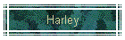 Harley