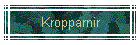 Kropparnir