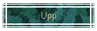 Upp
