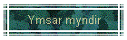 Ymsar myndir